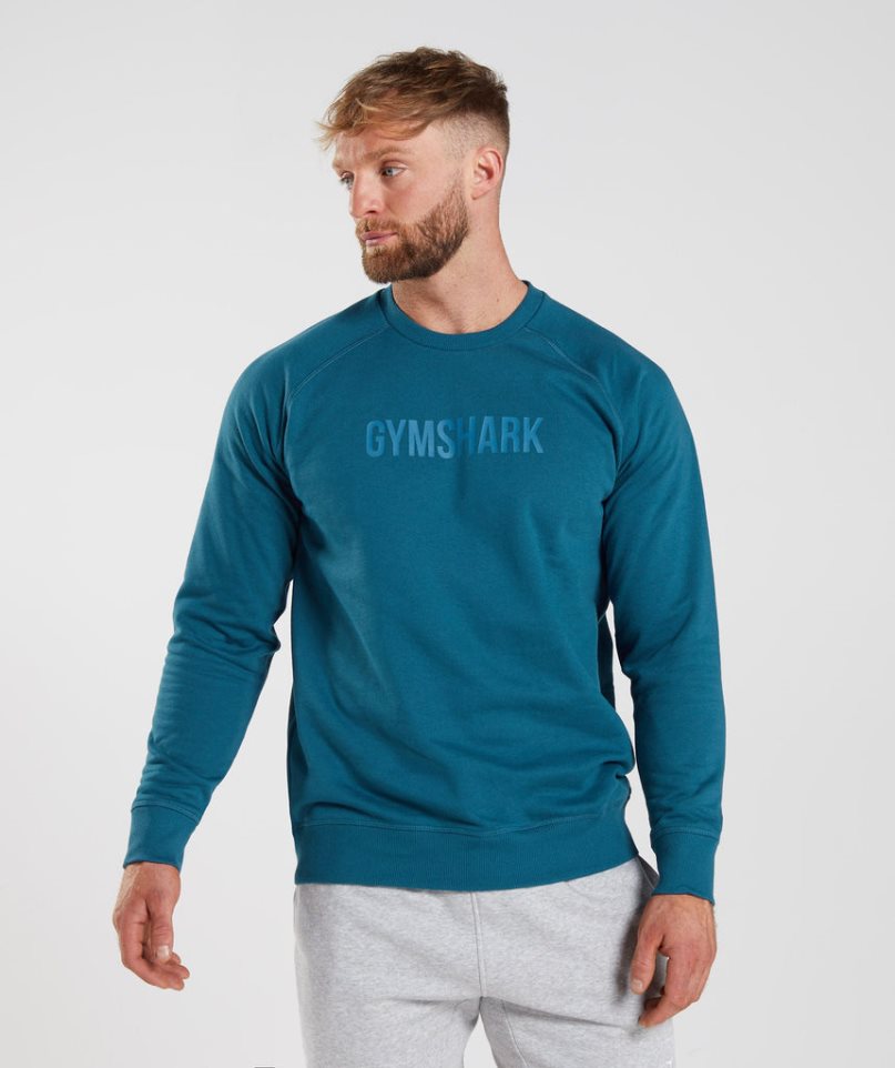 Bluzy Gymshark Apollo Crew Męskie Turkusowe | PL 497FVT